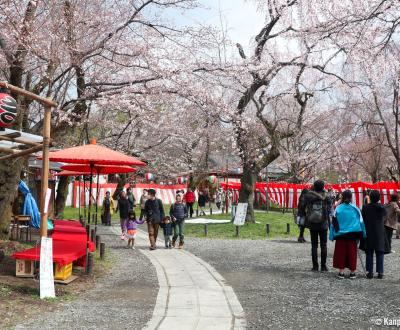 Hirano Sakura Matsuri in the shrine's grounds in March and April