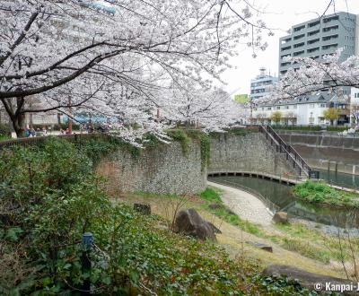 Shakujii-gawa (Tokyo), Otonashi Sakura Ryokuchi Park (Otonashi Sakura Green Park)