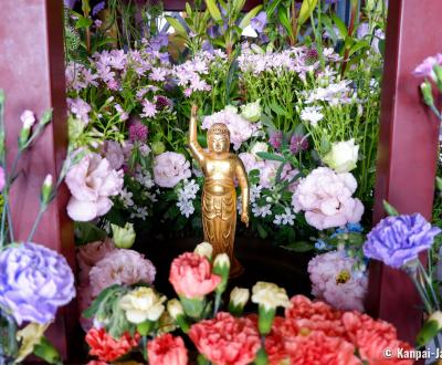 Hana Matsuri in Nishiarai Daishi temple (Tokyo), Flowers pavilion (Hana-mido)