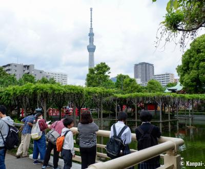 View on Tokyo SkyTree from Kameido Tenjin shrine