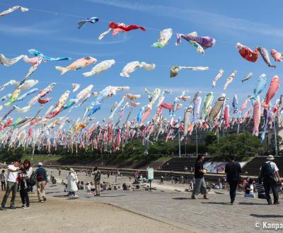 Takatsuki (Osaka), koi nobori kites above Akuta River in Akutagawa Sakurazutsumi Park