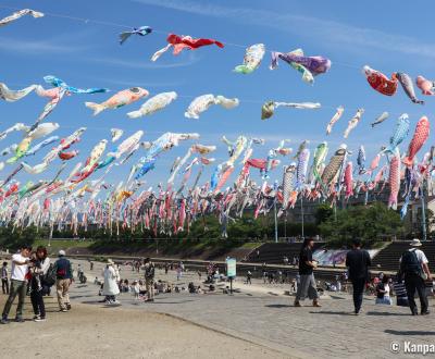 Takatsuki (Osaka), koi nobori kites above Akuta River in Akutagawa Sakurazutsumi Park