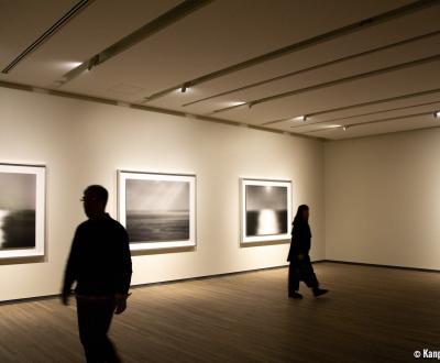 MOA Museum of Art (Atami), Contemporary paintings