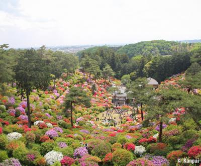 View on the valley of Shiofune Kannon-ji temple in Ome
