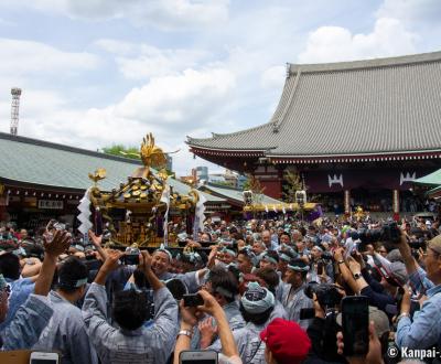 Sanja Matsuri (Tokyo), Mikoshi procession in Senso-ji's grounds
