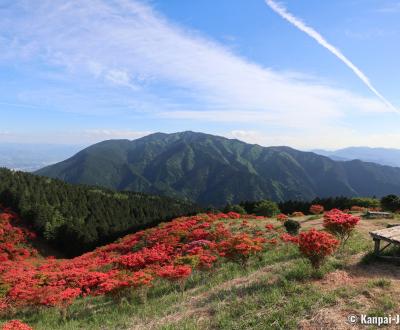 Mount Yamato-Katsuragi-san (Nara), View on the azaleas