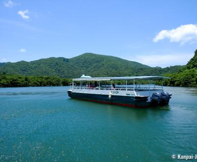 Iriomote (Yaeyama - Okinawa), Cruise on Urauchi River