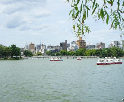 Ohori Park (Fukuoka), View on the lake and on the city