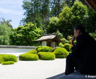 Shoden-ji (Kyoto), View on the dry garden