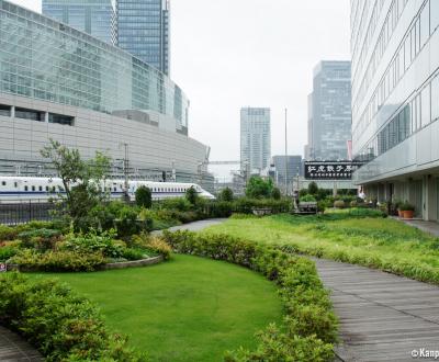 Kotsu Kaikan Coline (Tokyo), View on the wooded terrace