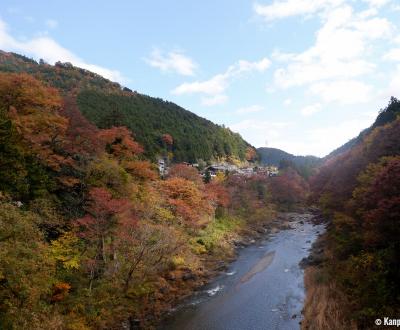 Hatonosu Valley in autumn (Okutama)