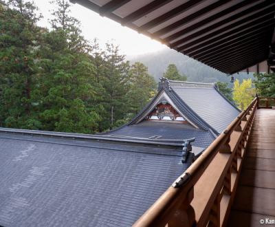 Eihei-ji (Fukui), View on the temple's roofs and the forest