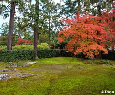 Entsu-ji (Kyoto), View on the dry garden in autumn