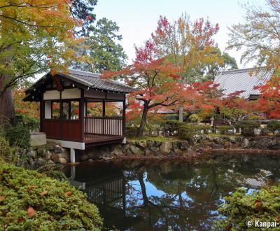 Shinnyo-do (Shinshogokuraku-ji), Pond and autumn foliage