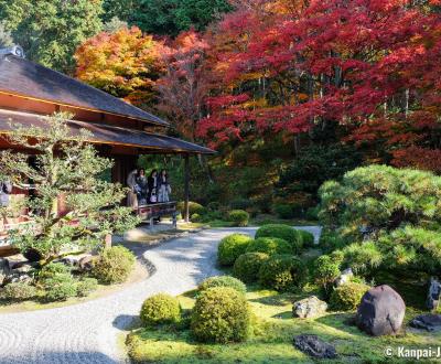 Manshu-in (Kyoto), View on Koshoin and the garden in autumn