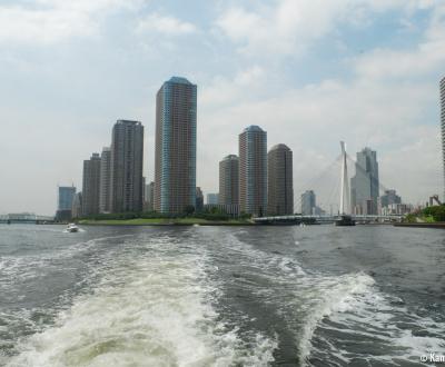 Nihombashi Cruise (Tokyo), View on the waterfront on Tokyo Bay