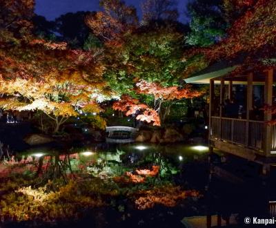 Otaguro Park (Tokyo), Night view on the pond of the Japanese garden in autumn