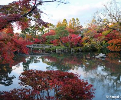 Eikan-do Temple (Kyoto), View on the pond and the momiji in autumn