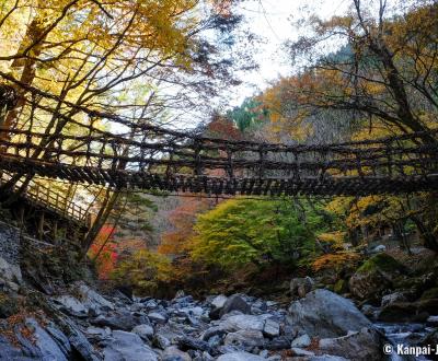 Iya Valley (Shikoku), Kazurabashi suspended bridge in autumn