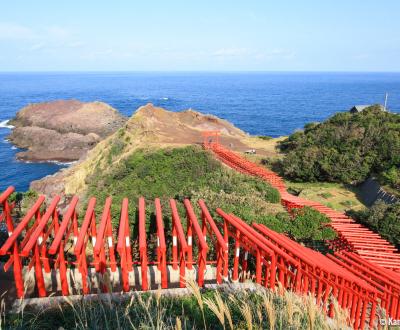 Motonosumi Inari Jinja (Chugoku), Torii gates tunnel