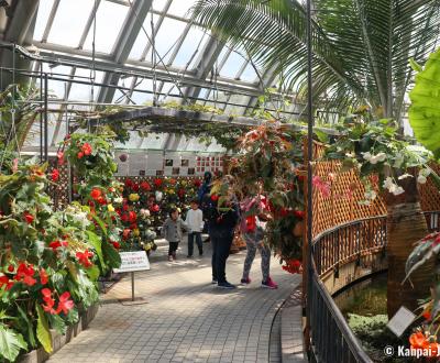 Kyoto Botanical Gardens, Tropical greenhouse