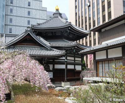 Rokkaku-do (Kyoto), Hexagonal pavilion and weeping cherry tree in spring