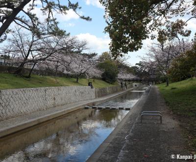 Shukugawa Park (Hyogo), View on the river lined with cherry trees and pines