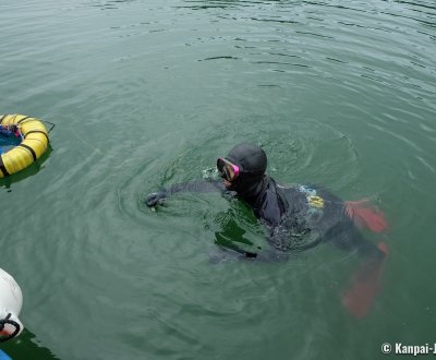 Mie prefecture, Ama free diver fishing off to Wagu port (Shima)