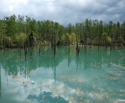 Biei (Hokkaido), The blue water of Lake Aoi-ike 