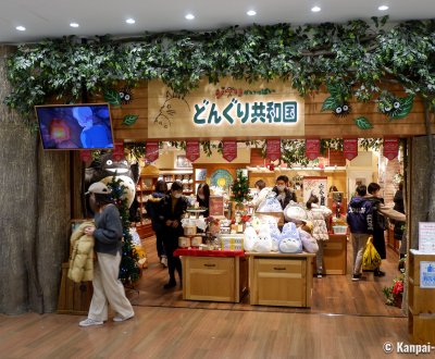 Donguri Kyowakoku, the store with nothing but Studio Ghibli anime