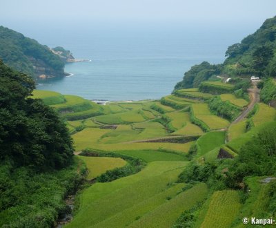 Karatsu (Saga, Kyushu), Hamanoura terraced rice paddies in summer