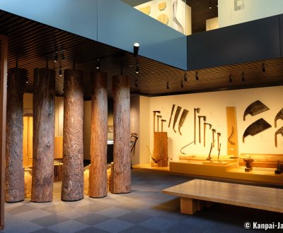 Takenaka Carpentry Tools Museum (Kobe), Exhibition of wood logs and Japanese saws
