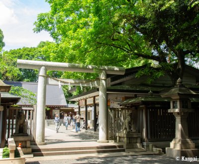 Nogi-jinja (Tokyo), Torii gate and pavilions in spring