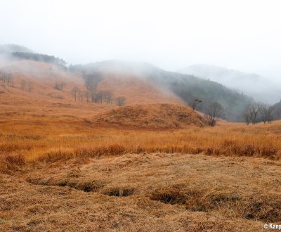 Tonomine Highlands (Hyogo), View on the susuki fields in autumn