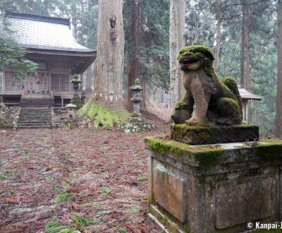 Kinpo-jinja (Akita), Komainu statue and main hall of the shrine