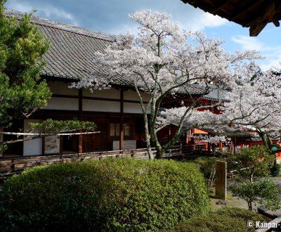 Bishamon-do (Kyoto), Reiden pavilion and blooming cherry trees