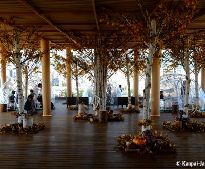 Hiroshima Orizuru Tower, Observation platform with autumn decoration