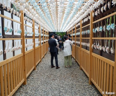 Kawagoe Hikawa-jinja, Pinwheels tunnel on the shrine's grounds
