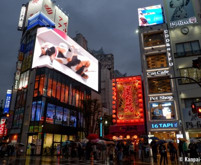Shinjuku Giant 3D Cat at nightfall