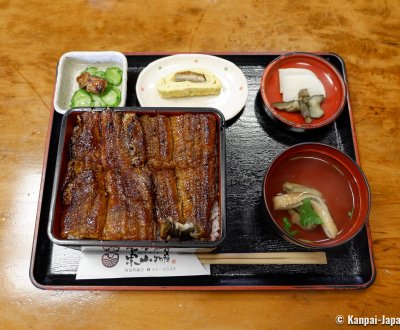 Sumibiyaki Unagi Higashiyama Bussan (Shima), Unadon set menu (eel donburi)