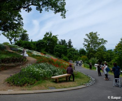 Makino Botanical Garden (Kochi), Newlywed couple posing in the garden's flowered alleys