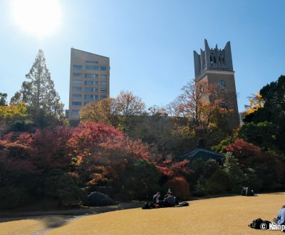 Waseda University (Tokyo), Okuma Teien Garden in autumn