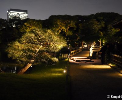 Hamarikyu Tsukimi Sanpo (Tokyo), Night view of the bridge on Shioiri-no-ike pond and a Japanese pine tree Hamarikyu Tsukimi Sanpo (Tokyo), Night view of the bridge on Shioiri-no-ike pond and a Japanese pine tree