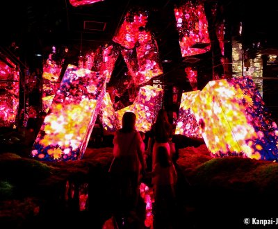 teamLab Biovortex Kyoto, Megaliths in the Eternal Existence of the Open Universe