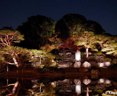 Autumn Illuminations in Rikugi-en (Tokyo), Night view of the Japanese garden around the main pond