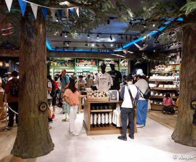 Harry Potter Shop Harajuku (Tokyo), Forbidden Forest themed shop Harry Potter Shop Harajuku (Tokyo), Forbidden Forest themed shop