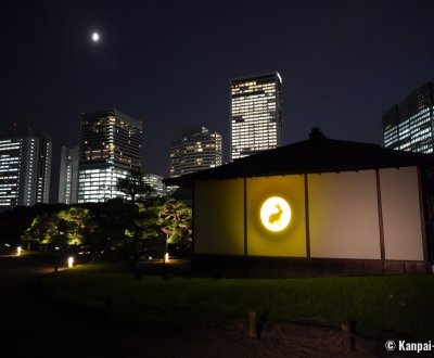Hamarikyu Tsukimi Sanpo (Tokyo), Golden moon rabbit light-up on Tsubame no Chaya tea house