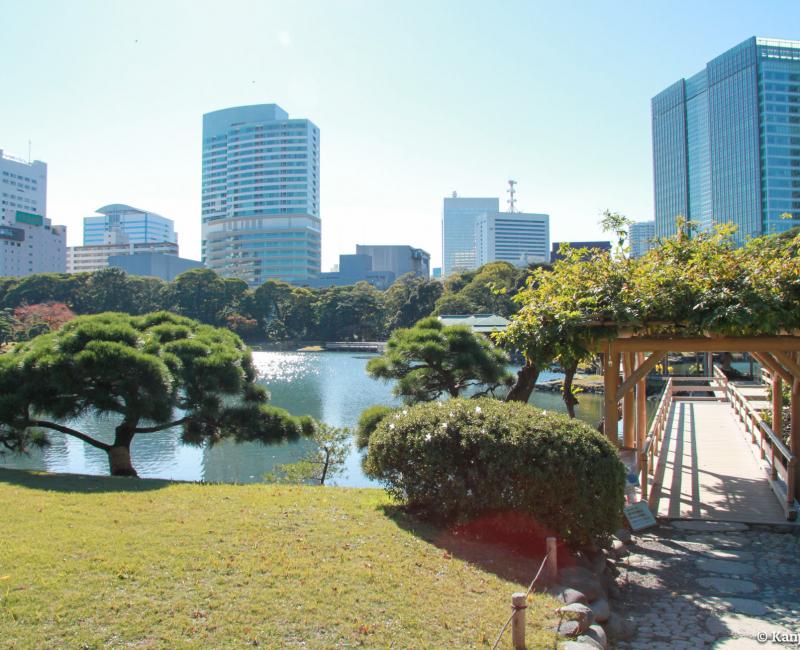 Hamarikyu Garden (Tokyo), Traditional Japanese garden and modern buildings in the background 2