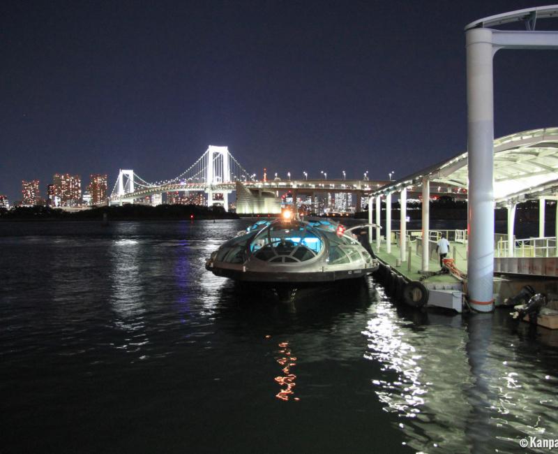 Himiko Cruise (Tokyo), Night view on Rainbow Bridge from the pier at Odaiba Seaside Park