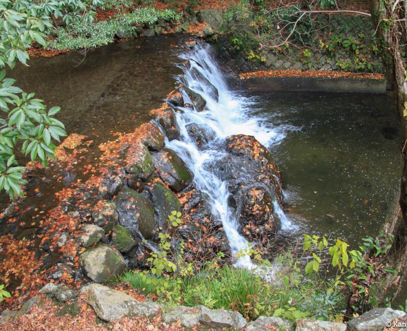 Minoh Park (Osaka), River and small stone dam